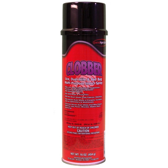 Taking care of ants indoors