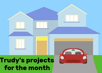 Projects for the Month