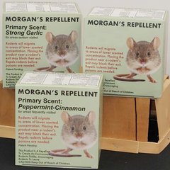 Pest Control