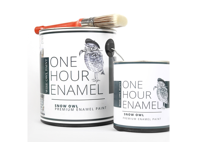 One Hour Enamel Paint